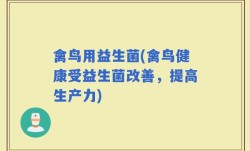 禽鸟用益生菌(禽鸟健康受益生菌改善，提高生产力)