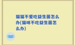 猫猫不爱吃益生菌怎么办(猫咪不吃益生菌怎么办)