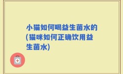小猫如何喝益生菌水的(猫咪如何正确饮用益生菌水)