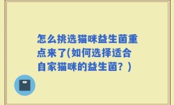怎么挑选猫咪益生菌重点来了(如何选择适合自家猫咪的益生菌？)