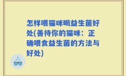 怎样喂猫咪喝益生菌好处(善待你的猫咪：正确喂食益生菌的方法与好处)