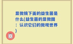 显微镜下面的益生菌是什么(益生菌的显微图：认识它们的微观世界)