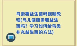 鸟需要益生菌吗视频教程(鸟儿健康需要益生菌吗？学习如何给鸟类补充益生菌的方法)