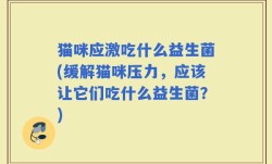 猫咪应激吃什么益生菌(缓解猫咪压力，应该让它们吃什么益生菌？)