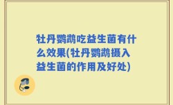 牡丹鹦鹉吃益生菌有什么效果(牡丹鹦鹉摄入益生菌的作用及好处)