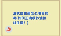 油状益生菌怎么喂养的呢(如何正确喂养油状益生菌？)