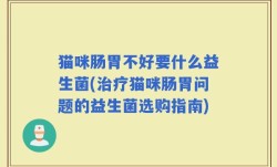 猫咪肠胃不好要什么益生菌(治疗猫咪肠胃问题的益生菌选购指南)