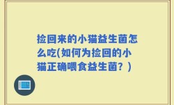 捡回来的小猫益生菌怎么吃(如何为捡回的小猫正确喂食益生菌？)