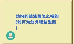 幼狗的益生菌怎么喂的(如何为幼犬喂益生菌)