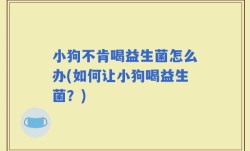小狗不肯喝益生菌怎么办(如何让小狗喝益生菌？)