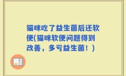 猫咪吃了益生菌后还软便(猫咪软便问题得到改善，多亏益生菌！)
