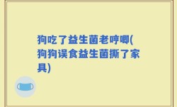 狗吃了益生菌老哼唧(狗狗误食益生菌撕了家具)