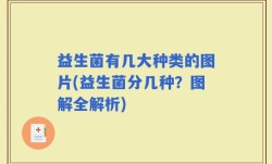 益生菌有几大种类的图片(益生菌分几种？图解全解析)