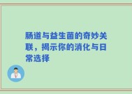 肠道与益生菌的奇妙关联，揭示你的消化与日常选择