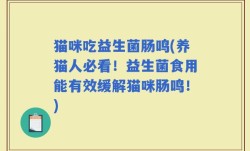 猫咪吃益生菌肠鸣(养猫人必看！益生菌食用能有效缓解猫咪肠鸣！)
