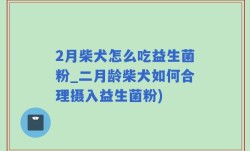 2月柴犬怎么吃益生菌粉_二月龄柴犬如何合理摄入益生菌粉)