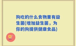 狗吃的什么食物里有益生菌(增加益生菌，为你的狗提供健康食品)