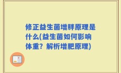 修正益生菌增胖原理是什么(益生菌如何影响体重？解析增肥原理)