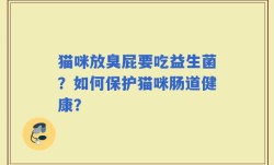 猫咪放臭屁要吃益生菌？如何保护猫咪肠道健康？