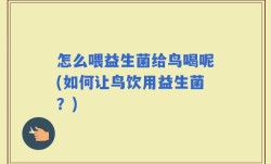 怎么喂益生菌给鸟喝呢(如何让鸟饮用益生菌？)
