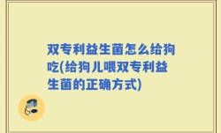 双专利益生菌怎么给狗吃(给狗儿喂双专利益生菌的正确方式)