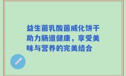 益生菌乳酸菌威化饼干助力肠道健康，享受美味与营养的完美结合