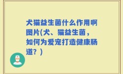 犬猫益生菌什么作用啊图片(犬、猫益生菌，如何为爱宠打造健康肠道？)