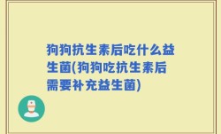 狗狗抗生素后吃什么益生菌(狗狗吃抗生素后需要补充益生菌)