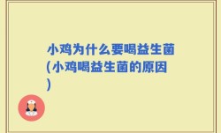 小鸡为什么要喝益生菌(小鸡喝益生菌的原因)
