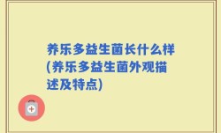 养乐多益生菌长什么样(养乐多益生菌外观描述及特点)