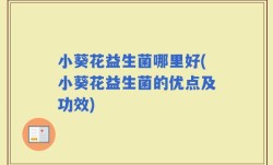 小葵花益生菌哪里好(小葵花益生菌的优点及功效)