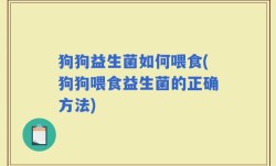 狗狗益生菌如何喂食(狗狗喂食益生菌的正确方法)