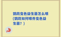 鹦鹉变色益生菌怎么喂(鹦鹉如何喂养变色益生菌？)