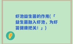 虾池益生菌的作用(「益生菌融入虾池，为虾苗健康把关！」)