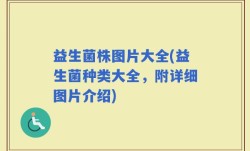 益生菌株图片大全(益生菌种类大全，附详细图片介绍)
