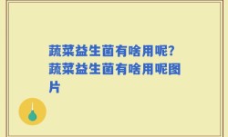 蔬菜益生菌有啥用呢？蔬菜益生菌有啥用呢图片