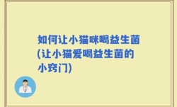 如何让小猫咪喝益生菌(让小猫爱喝益生菌的小窍门)