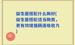 益生菌搭配什么酶好(益生菌搭配适当酶类，更有效增强肠道吸收力)