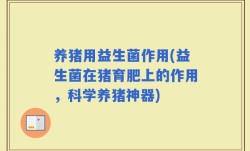 养猪用益生菌作用(益生菌在猪育肥上的作用，科学养猪神器)