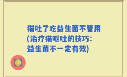 猫吐了吃益生菌不管用(治疗猫呕吐的技巧：益生菌不一定有效)