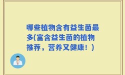 哪些植物含有益生菌最多(富含益生菌的植物推荐，营养又健康！)