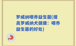 罗威纳喂养益生菌(提高罗威纳犬健康：喂养益生菌的好处)