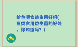 给鱼喂食益生菌好吗(鱼类食用益生菌的好处，你知道吗？)