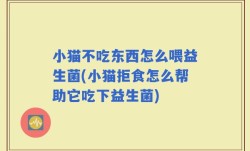 小猫不吃东西怎么喂益生菌(小猫拒食怎么帮助它吃下益生菌)