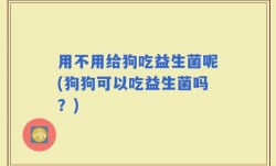 用不用给狗吃益生菌呢(狗狗可以吃益生菌吗？)