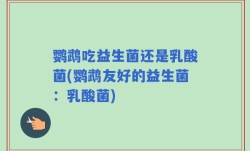 鹦鹉吃益生菌还是乳酸菌(鹦鹉友好的益生菌：乳酸菌)