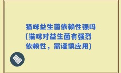 猫咪益生菌依赖性强吗(猫咪对益生菌有强烈依赖性，需谨慎应用)