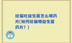 给猫吃益生菌怎么喂药片(如何给猫喂益生菌药片？)