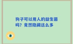 狗子可以用人的益生菌吗？竟然隐藏这么多