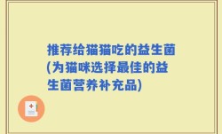 推荐给猫猫吃的益生菌(为猫咪选择最佳的益生菌营养补充品)